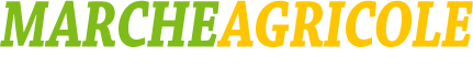 logo scelto marche agricole magazine