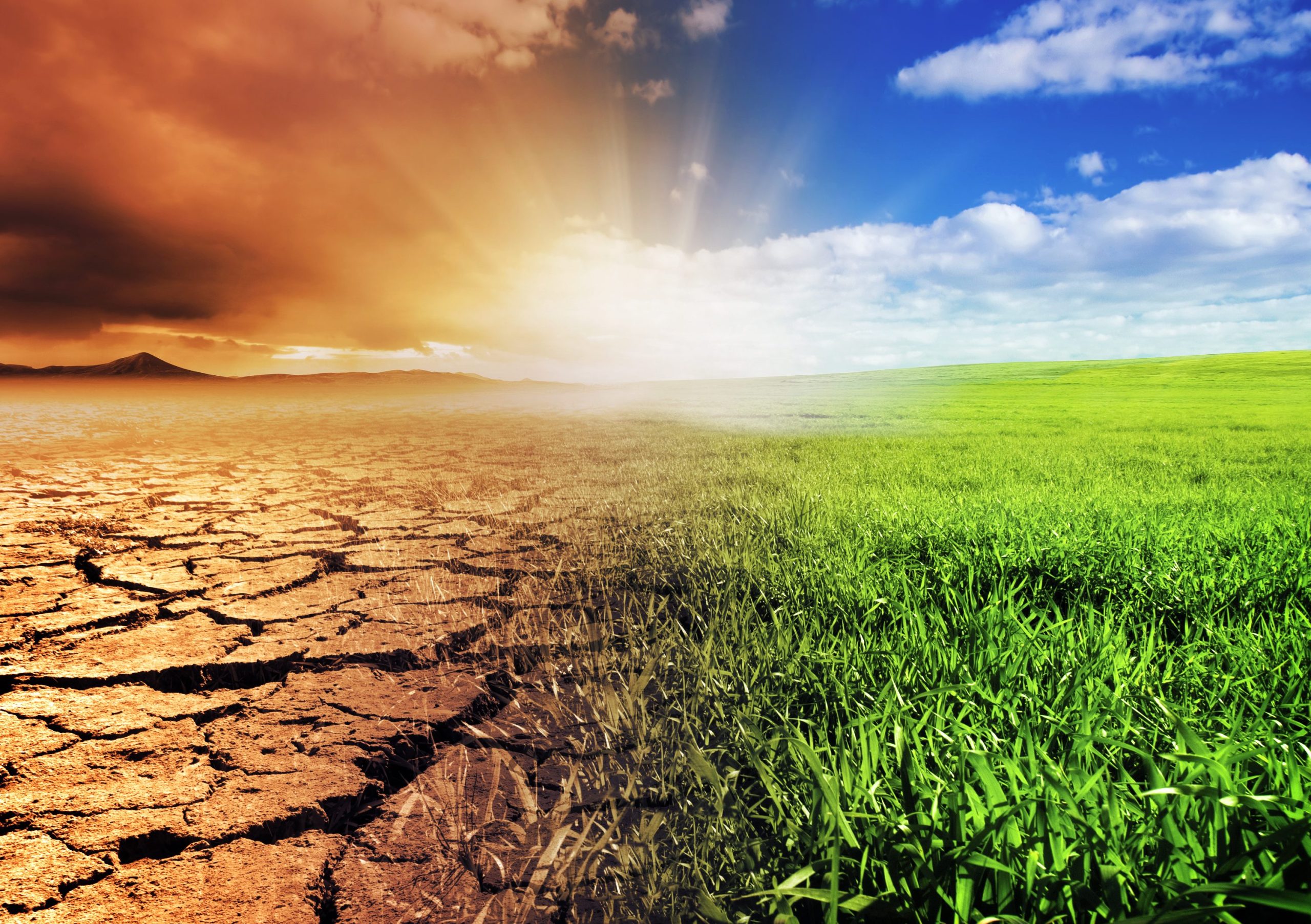climate emergency